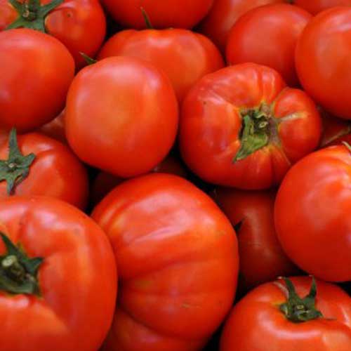 Tomato Sart Roloise - An Unique Beefsteak Type Tomato Variety - 10 Seeds