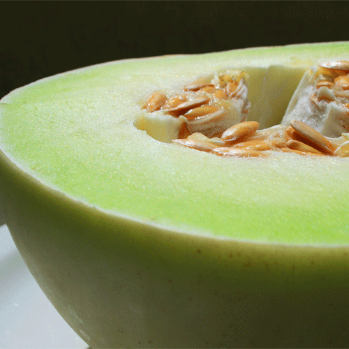 Melon description