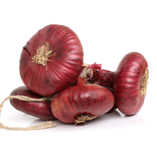 red cipollini onion seeds