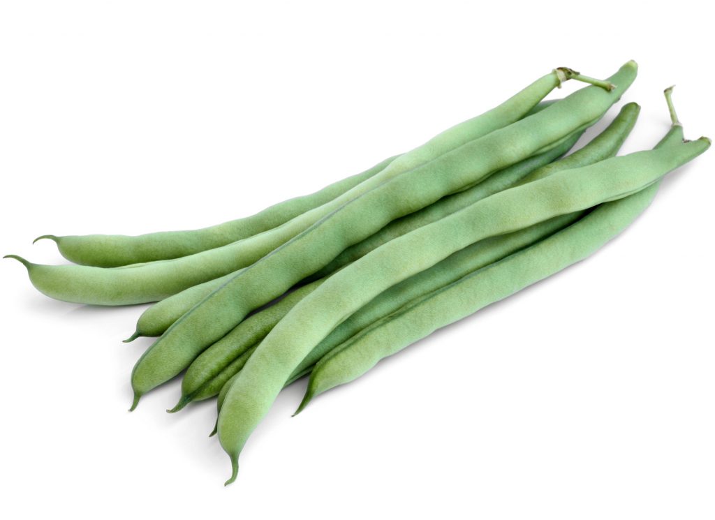 how to grow beans