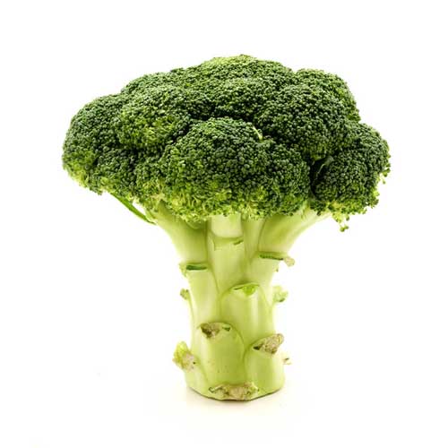 Broccoli Franchi BIOB25/23 Organic Vegetable Calabrese Seeds 