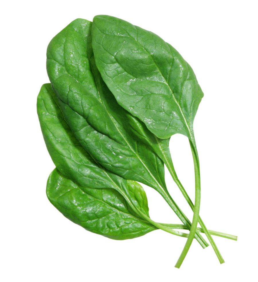 growing spinach, how to grow spinach