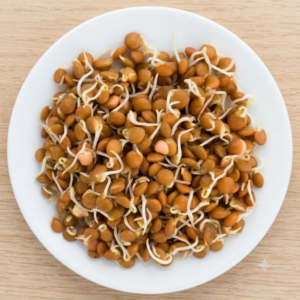 A pile of freshly sprouted crimson lentil seeds with short, curly white shoots on a clean white ceramic plate, set against a light wood background.