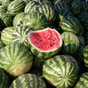 watermelon seeds