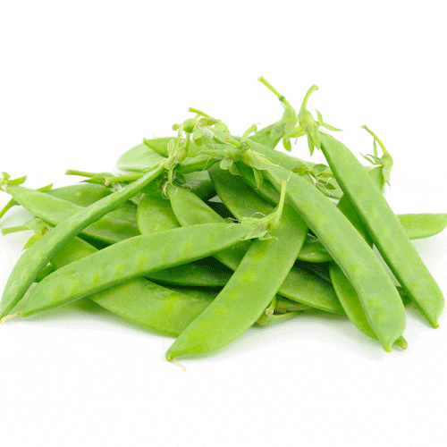 dwarf grey sugar peas