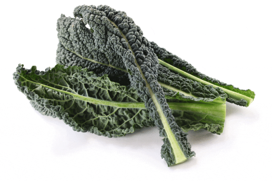 growing kale, how to grow kale