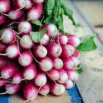 how to grow radishes, how to plant radishes, radish companion plants