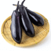 japanese eggplant seeds