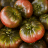 cherokee purple tomato seeds, cherokee purple tomato