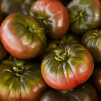 purple cherokee tomato seeds