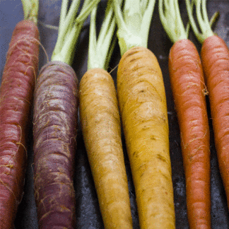 rainbow carrot seeds