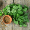 cilantro seeds, how to grow cilantro