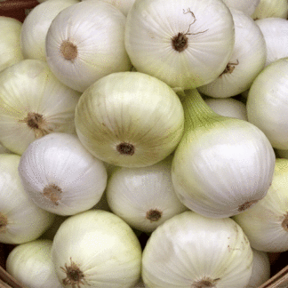walla walla onion seeds